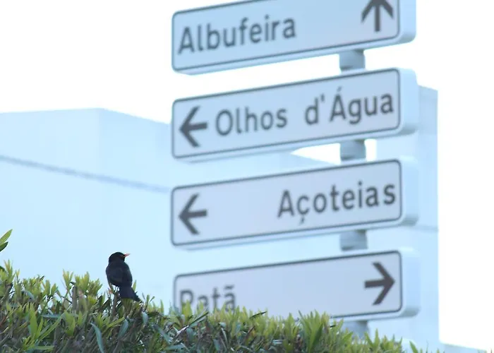 Summertime - Private Jacuzzi And Bikes, 800m Albufeira